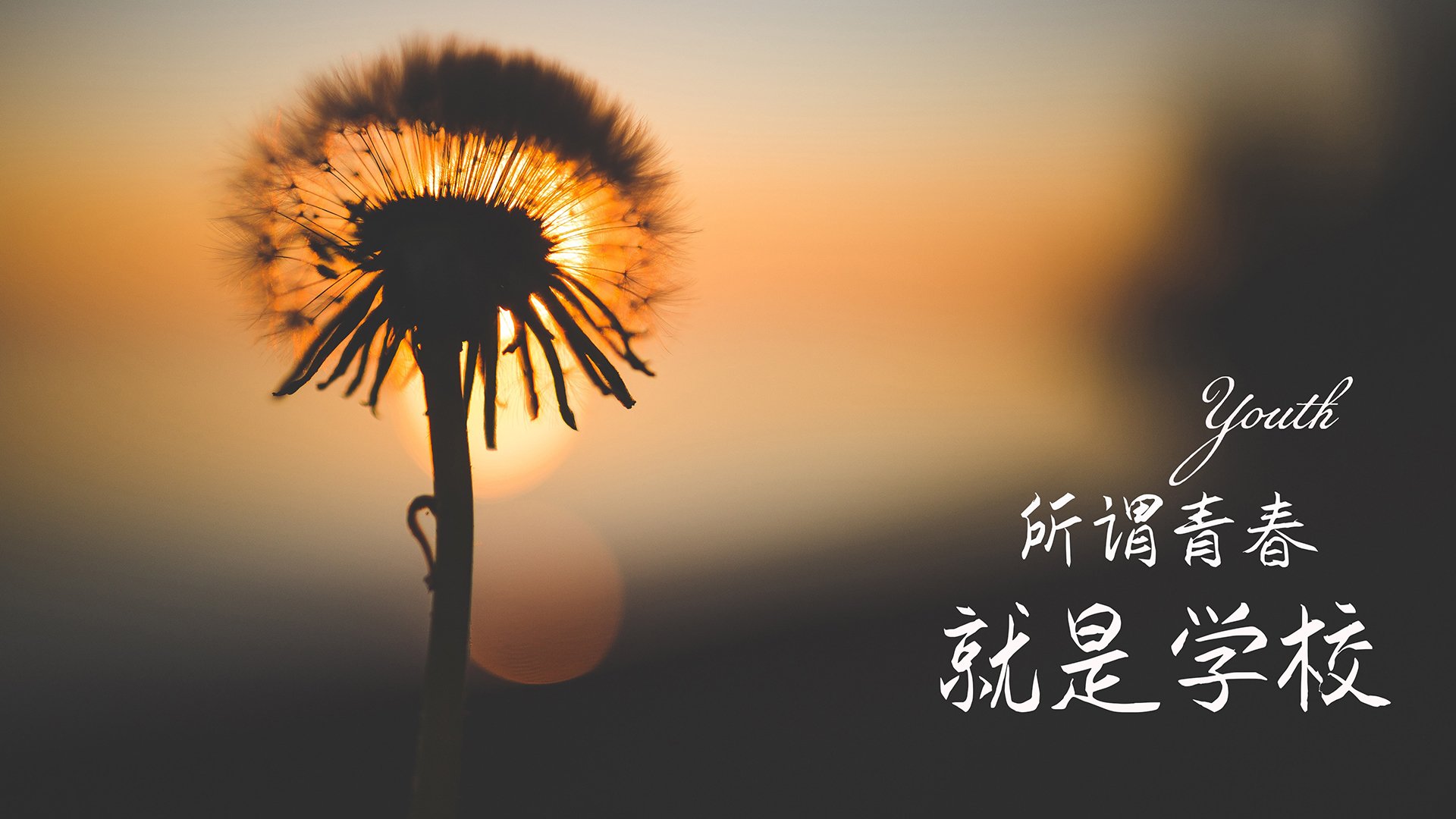 意甲青训营引入心理韧性训练促进球员压力管理，意甲青训规则