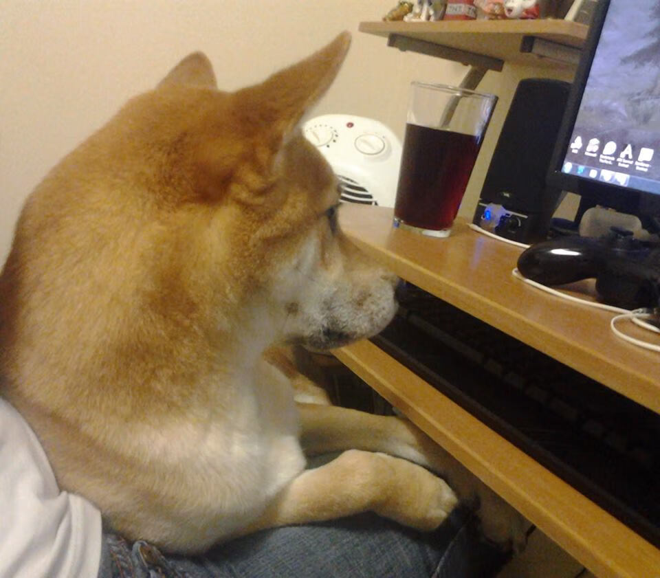 中国女篮提升中锋策应拉动全队联动，中国女篮260斤中锋