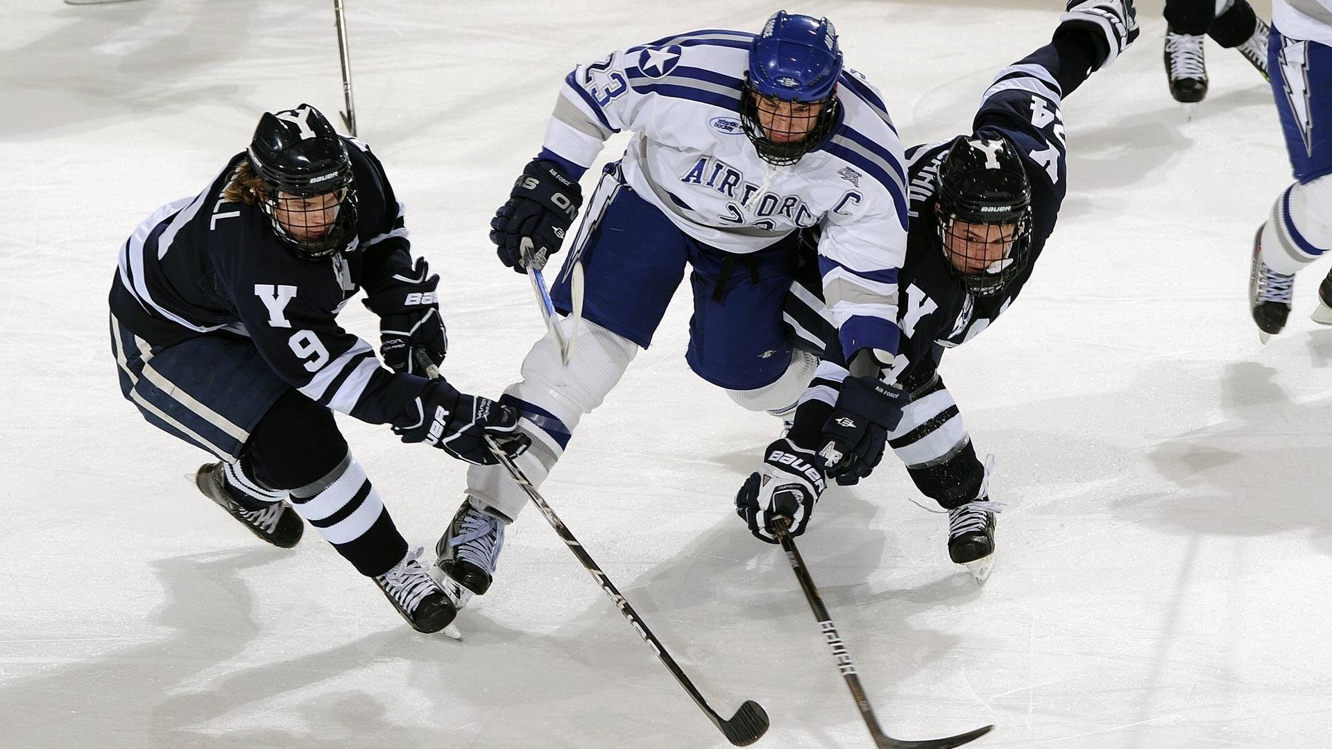 俱乐部与社区联合举办亲子运动会扩大群众基础,社区举办亲子活动